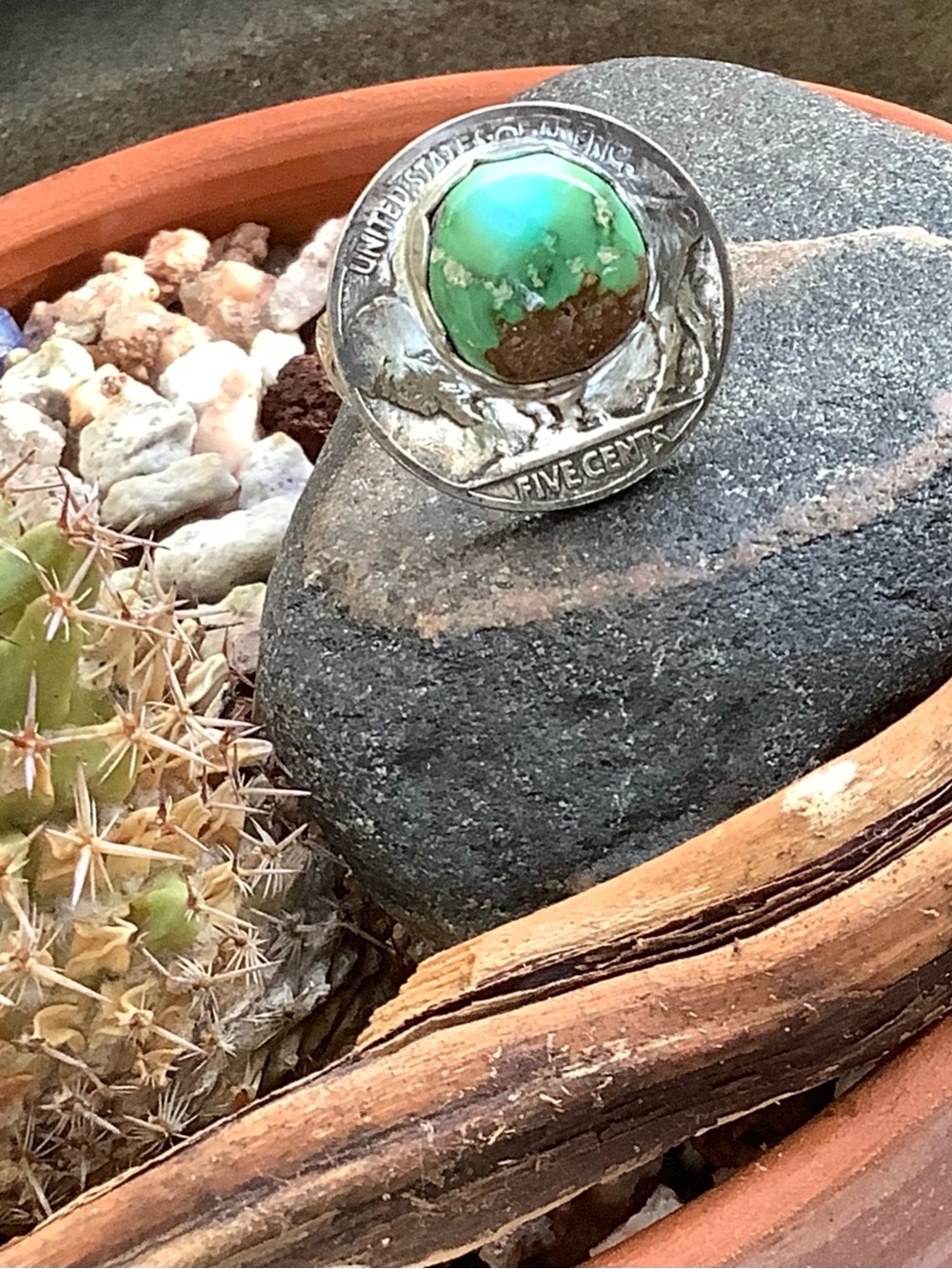 Sterling ring, Turquoise/Buffalo nickel , 6 1/2